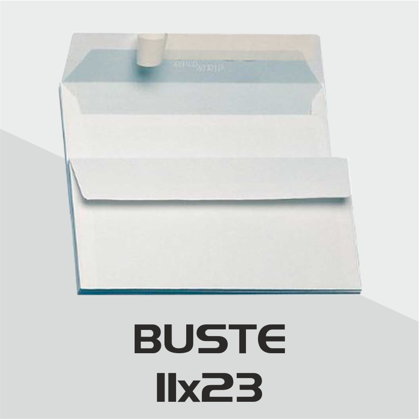 Buste 11x23